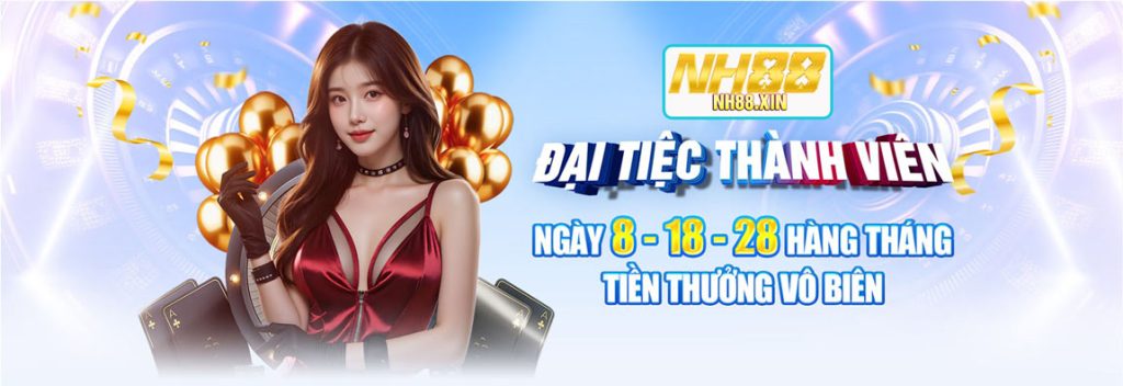 Banner NH88