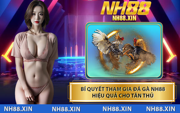 Bí Quyết Tham Gia Đá Gà NH88 Hiệu Quả Cho Tân Thủ