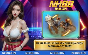Đá Gà NH88 - Cùng Sân Chơi Lựa Chọn Giống Gà Tốt Nhất