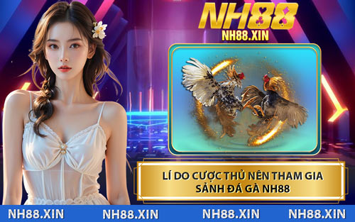 Lí Do Cược Thủ Nên Tham Gia Sảnh Đá Gà NH88
