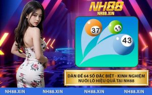Dàn Đề 64 Số Đặc Biệt - Kinh Nghiệm Nuôi Lô Hiệu Quả Tại NH88